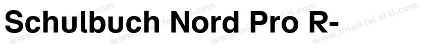 Schulbuch Nord Pro R字体转换